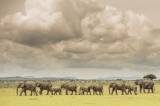 Unvergessliche Naturmomente in der Serengeti